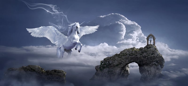 Fairy Tale Shots